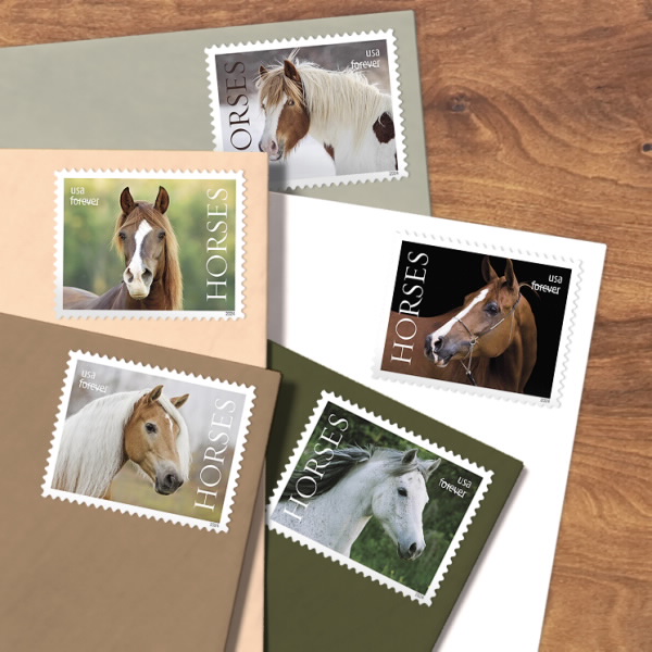 2024 Horses Stamps | Tool Stamps US Postage Stamps