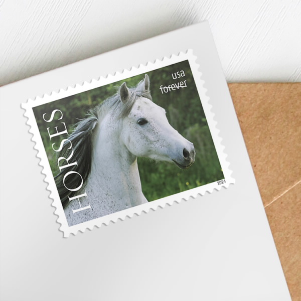 2024 Horses Stamps | Tool Stamps US Postage Stamps