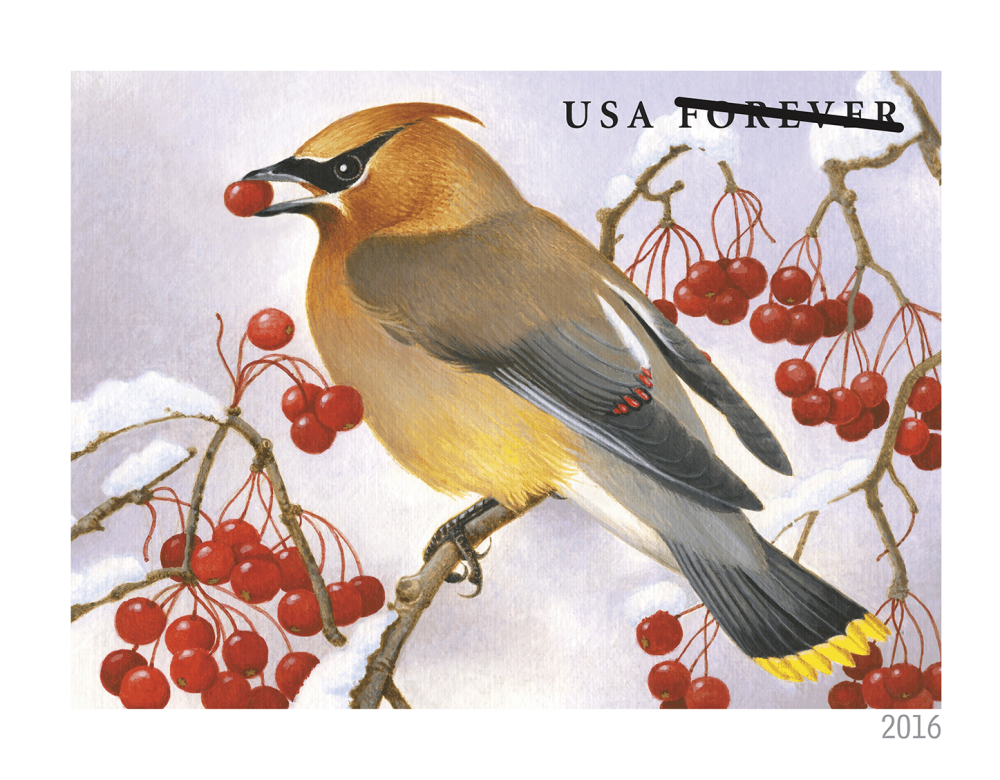 2016 Forever Stamps Songbirds In Snow | Tool Stamps US Postage Stamps