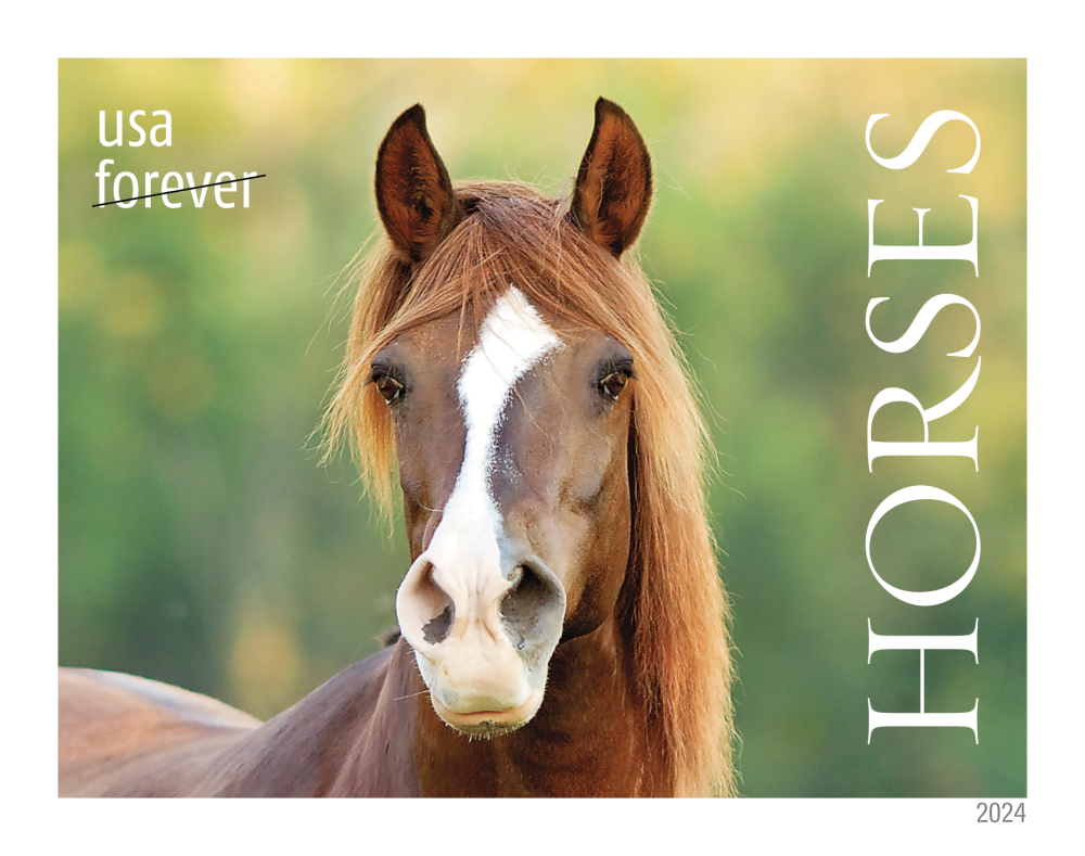 2024 Horses Stamps | Tool Stamps US Postage Stamps