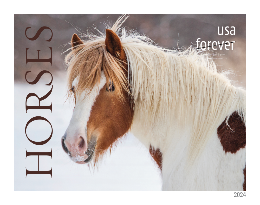 2024 Horses Stamps | Tool Stamps US Postage Stamps