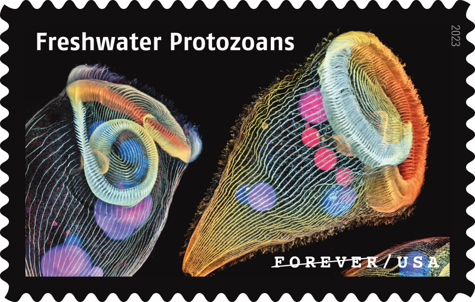 2023 Life Magnified Stamps - Forever Stamps