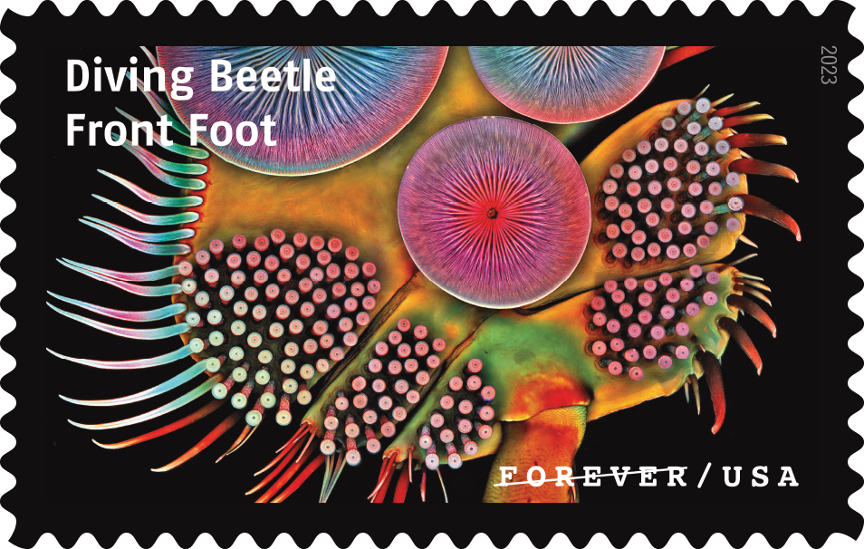 2023 Life Magnified Stamps - Forever Stamps