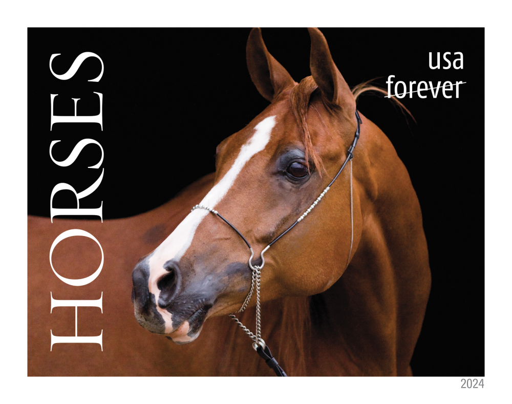2024 Horses Stamps - Forever Stamps