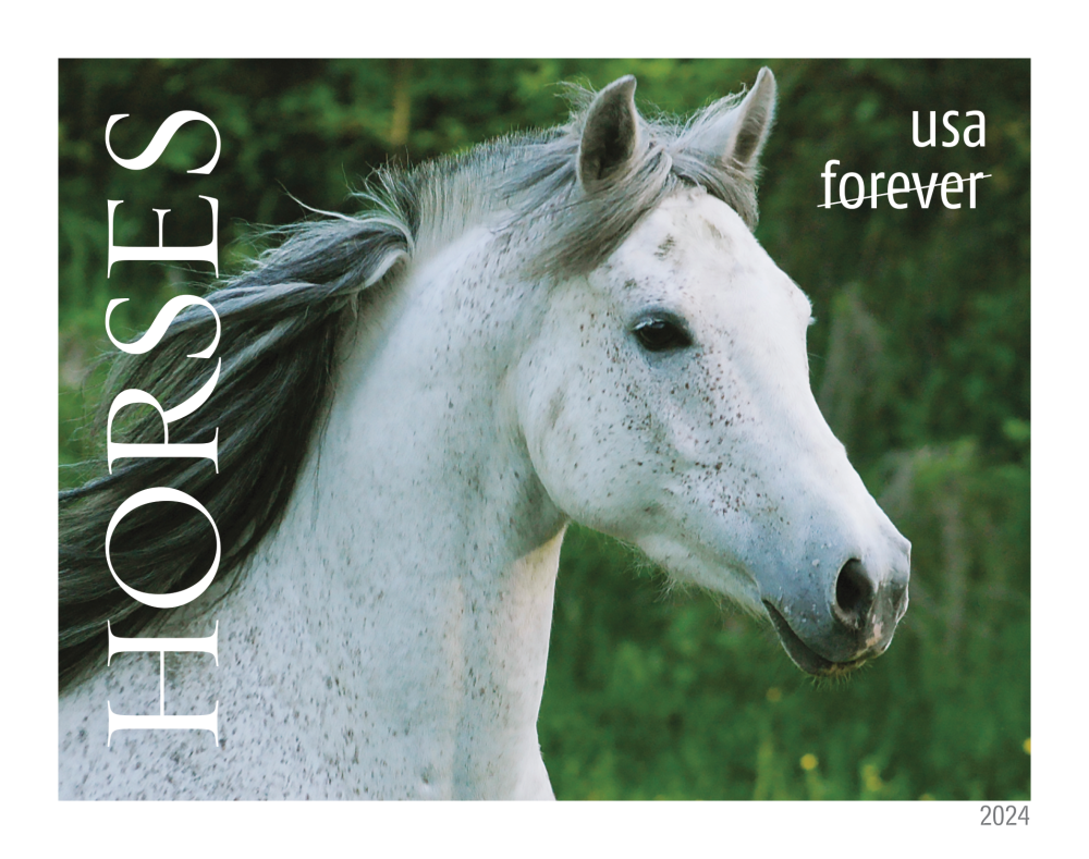 2024 Horses Stamps - Forever Stamps